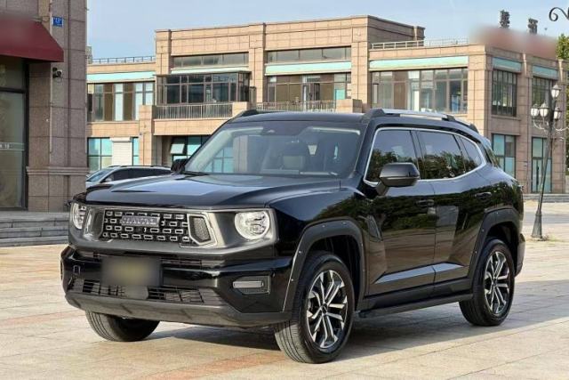 Used Haval H Dog 2023 2.0T Two-Wheel Drive Chaoye Version Plus