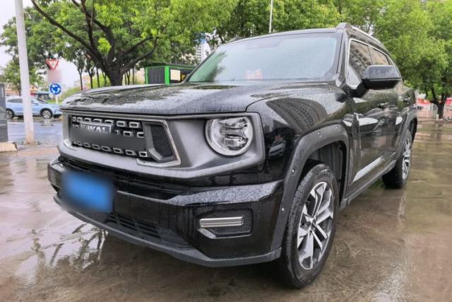 Used Haval H Dog 2023 2.0T Two-Wheel Drive Chaoye Version Plus