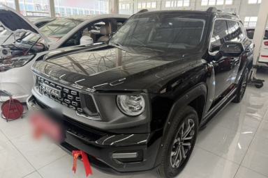 Used Haval H Dog 2023 2.0T Two-Wheel Drive Chaoye Version Plus