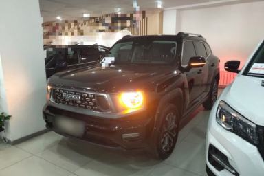 Used Haval H Dog 2023 1.5T Two-Wheel Drive Chao Ye Version Plus