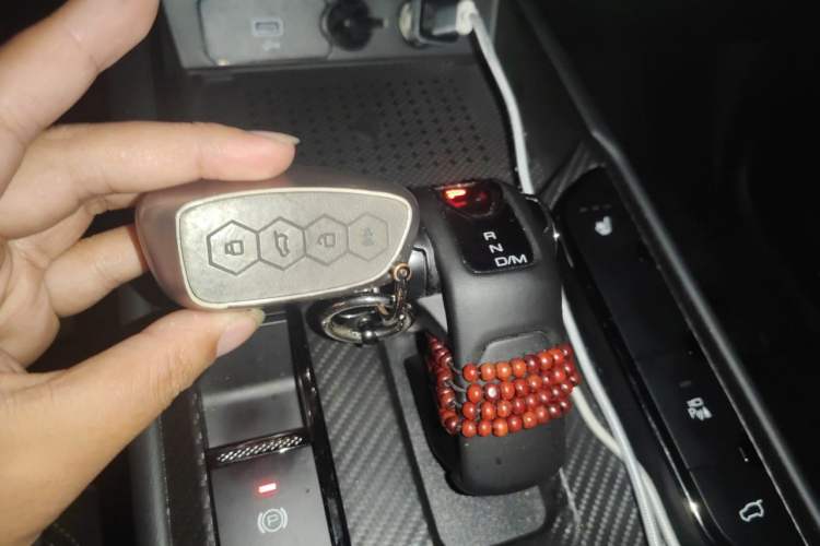 Used Haval H Dog 2023 2.0T Two-Wheel Drive Chaoye Version Plus Vehicle Key