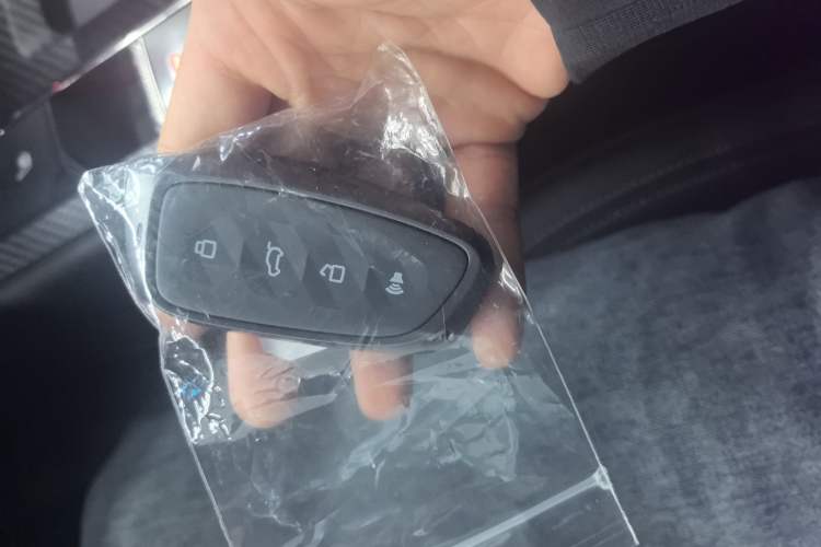 Used Haval H Dog 2023 1.5T Two-Wheel Drive Chao Ye Version Plus Vehicle Key