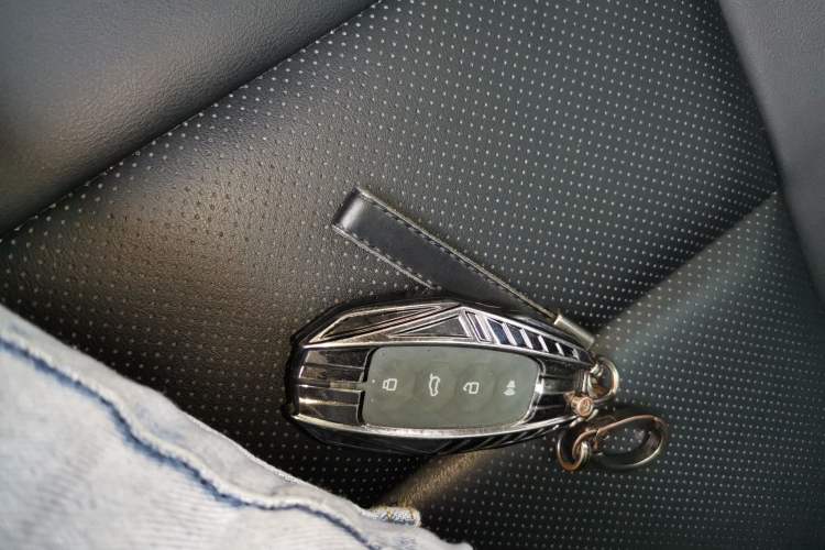 Used Haval H Dog 2023 2.0T Two-Wheel Drive Trendy Outdoor Edition Vehicle Key