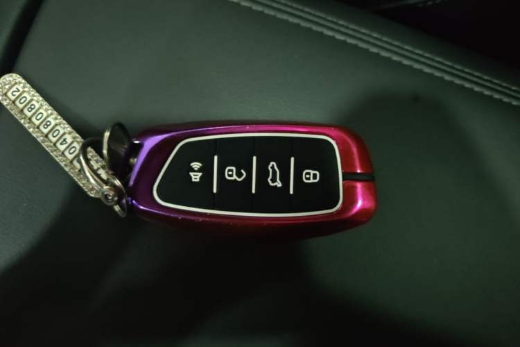 Used Haval H Dog 2023 2.0T Two-Wheel Drive Chaoye Version Plus Vehicle Key