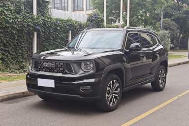 Used Haval H Dog 2023 1.5T Two-Wheel Drive Chao Ye Version Plus
