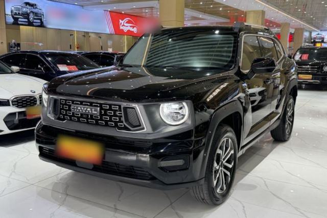 Used Haval H Dog 2023 2.0T Two-Wheel Drive Chaoye Version Plus