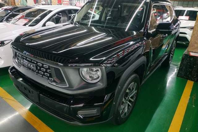 Used Haval H Dog 2023 2.0T Two-Wheel Drive Chaoye Version Plus