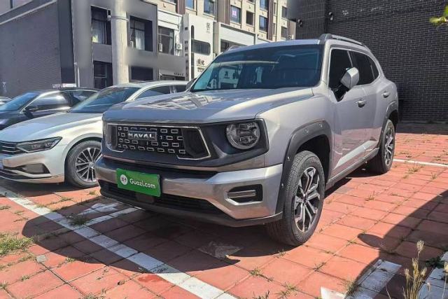 Used Haval H Dog 2023 2.0T Two-Wheel Drive Chaoye Version Plus