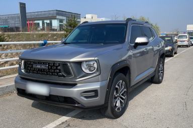 Used Haval H Dog 2023 1.5T Two-Wheel Drive Chao Ye Version Plus