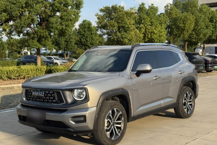 Haval H Dog 2023 1.5T Two-Wheel Drive Chao Ye Version Plus