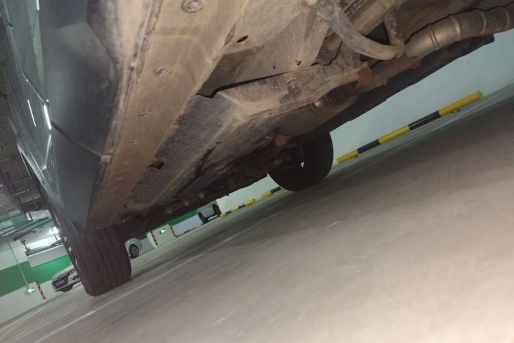 Used Haval H Dog 2023 2.0T Two-Wheel Drive Chaoye Version Plus Chassis Rear Left