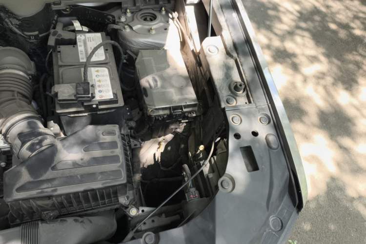 Used Haval H Dog 2023 2.0T Two-Wheel Drive Chaoye Version Plus Engine Bay Left