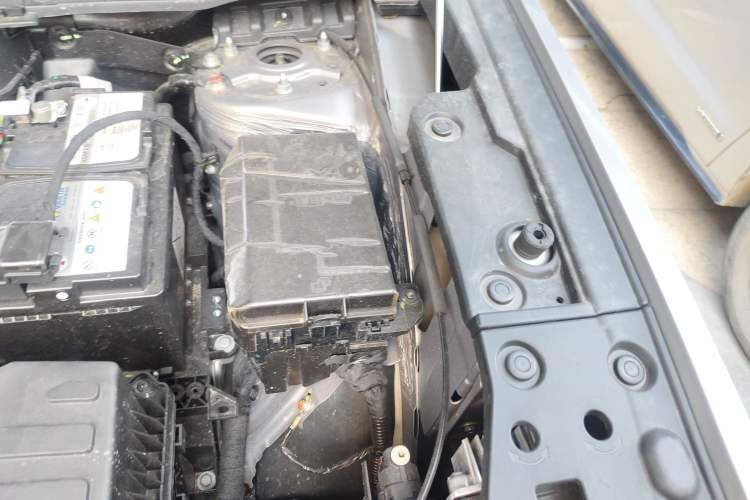 Used Haval H Dog 2023 2.0T Two-Wheel Drive Trendy Outdoor Edition Engine Bay Left