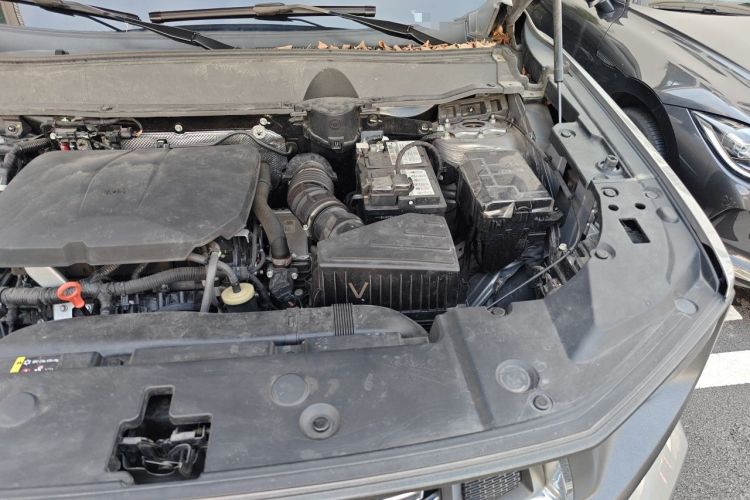 Used Haval H Dog 2023 2.0T Two-Wheel Drive Chaoye Version Plus Engine Bay Left