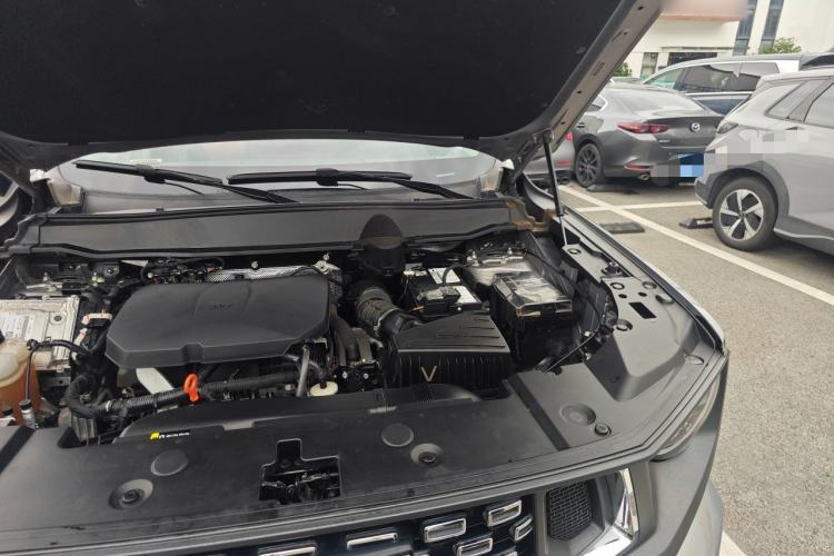 Used Haval H Dog 2023 2.0T Two-Wheel Drive Chaoye Version Plus Engine Bay Left