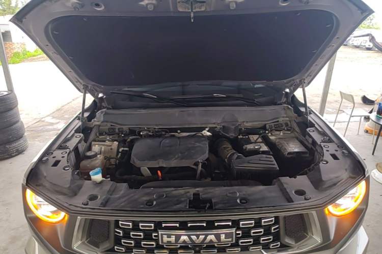 Used Haval H Dog 2023 2.0T All-Wheel-Drive Chaoye Plus Engine Bay