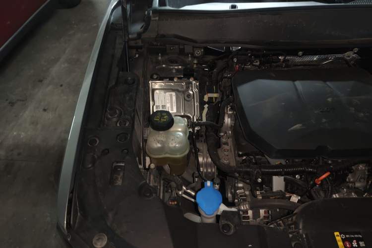 Used Haval H Dog 2023 2.0T Two-Wheel Drive Trendy Outdoor Edition Engine Bay Right