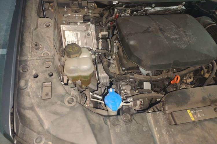 Used Haval H Dog 2023 2.0T Two-Wheel Drive Chaoye Version Plus Engine Bay Right