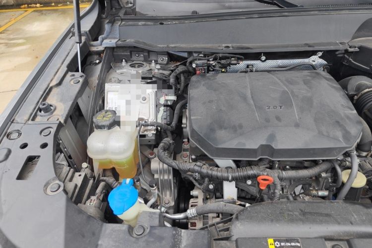 Used Haval H Dog 2023 2.0T Two-Wheel Drive Chaoye Version Plus Engine Bay Right