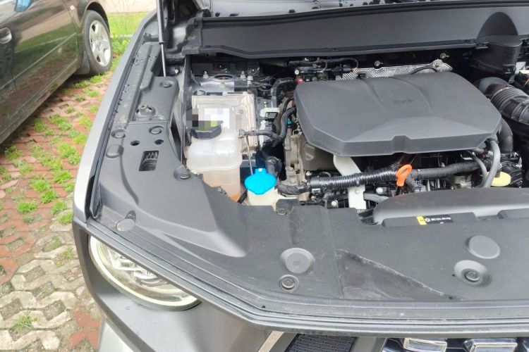 Used Haval H Dog 2023 2.0T All-Wheel-Drive Chaoye Plus Engine Bay Right
