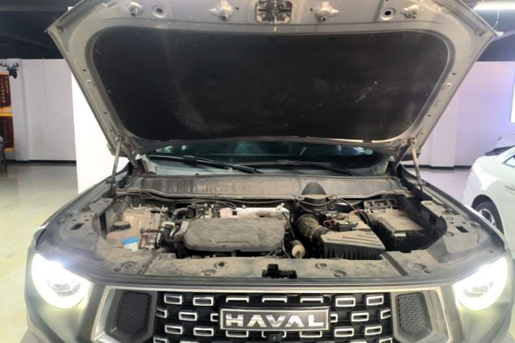 Used Haval H Dog 2023 1.5T Two-Wheel Drive Chao Ye Version Plus Engine Bay