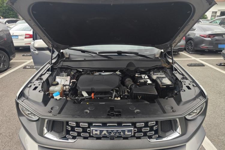 Used Haval H Dog 2023 2.0T Two-Wheel Drive Chaoye Version Plus Engine Bay