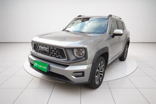 Haval H Dog 2023 1.5T Two-Wheel Drive Chao Ye Version Plus usado