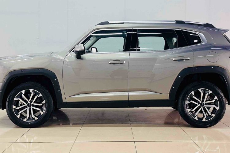 Used Haval H Dog 2023 2.0T Two-Wheel Drive Chaoye Version Plus Exterior 2