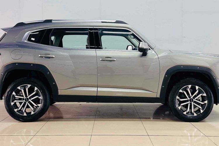 Used Haval H Dog 2023 2.0T Two-Wheel Drive Chaoye Version Plus Exterior 3