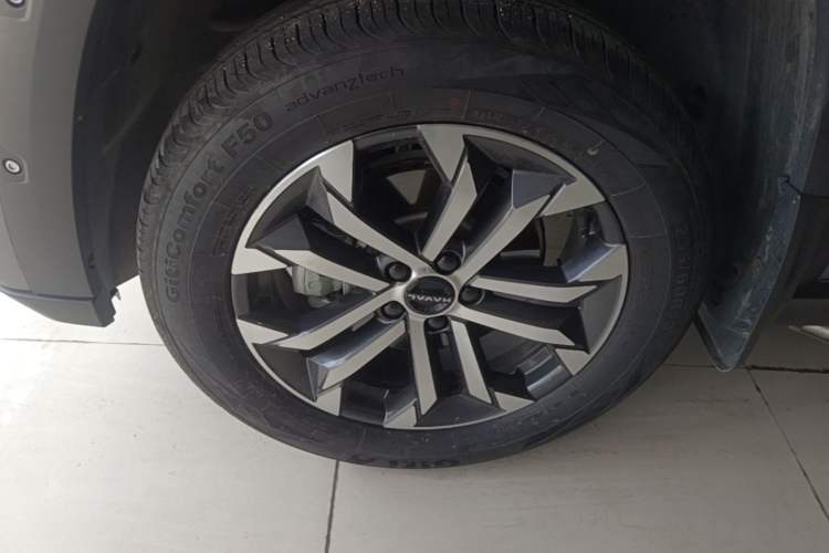 Used Haval H Dog 2023 1.5T Two-Wheel Drive Chao Ye Version Plus Exterior 4