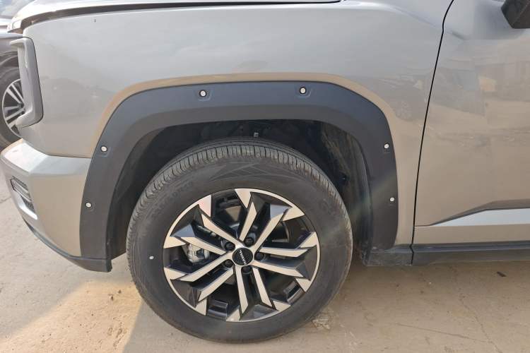 Used Haval H Dog 2023 2.0T All-Wheel-Drive Chaoye Plus Exterior 4