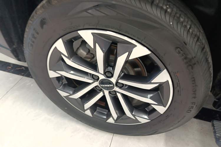 Used Haval H Dog 2023 2.0T Two-Wheel Drive Chaoye Version Plus Exterior 6