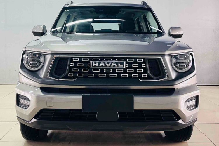 Used Haval H Dog 2023 2.0T Two-Wheel Drive Chaoye Version Plus Exterior 6