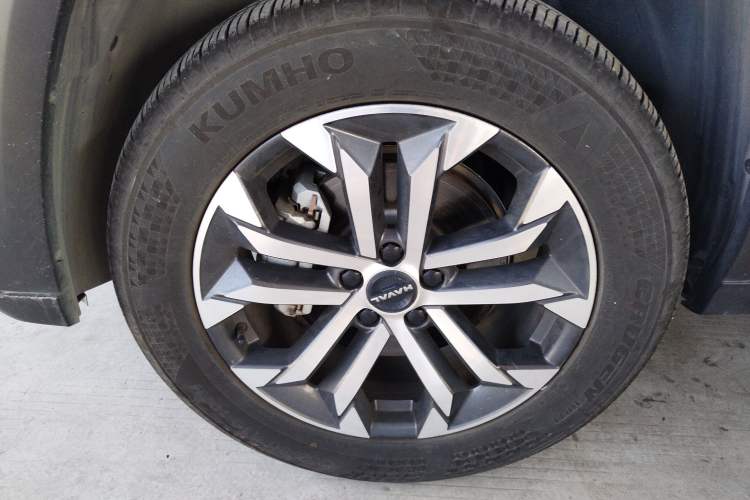 Used Haval H Dog 2023 2.0T Two-Wheel Drive Chaoye Version Plus Exterior 7