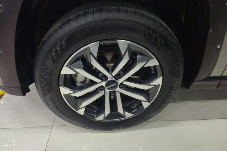 Used Haval H Dog 2023 2.0T All-Wheel-Drive Chaoye Plus Exterior 7
