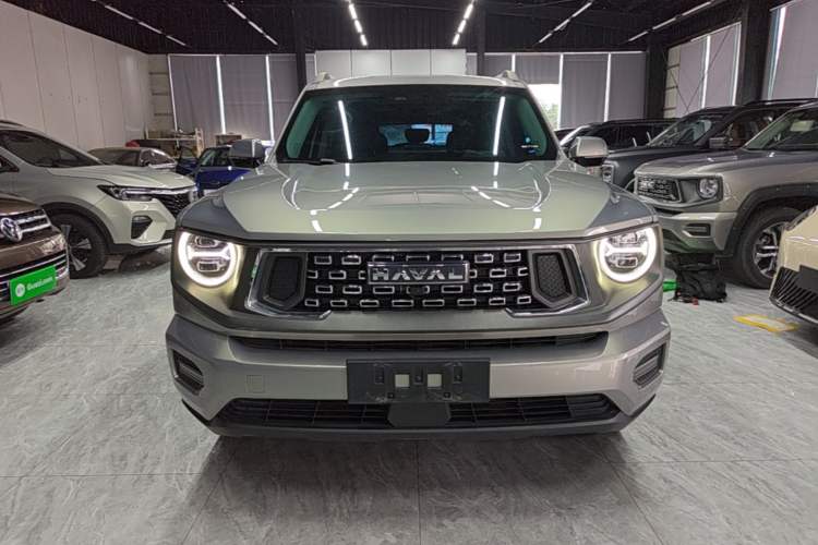 Used Haval H Dog 2023 2.0T Two-Wheel Drive Chaoye Version Plus Front