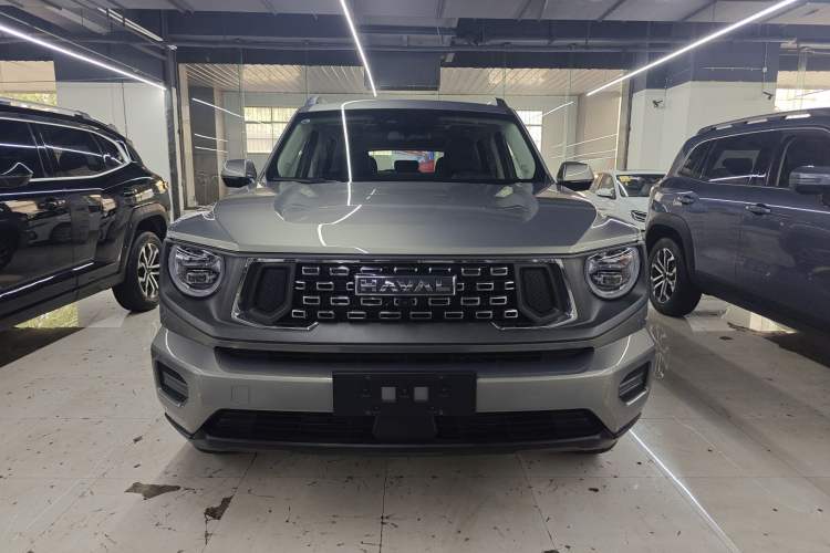 Used Haval H Dog 2023 2.0T Two-Wheel Drive Chaoye Version Plus Front