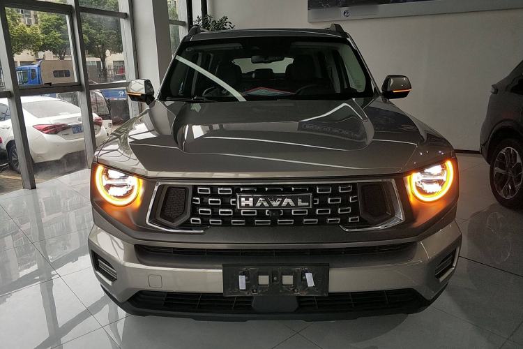 Used Haval H Dog 2023 2.0T Two-Wheel Drive Chaoye Version Plus Front