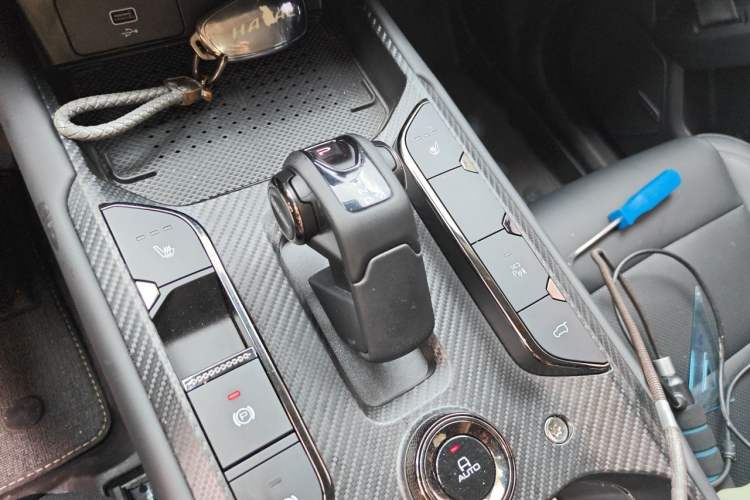 Used Haval H Dog 2023 2.0T Two-Wheel Drive Chaoye Version Plus Gear Lever
