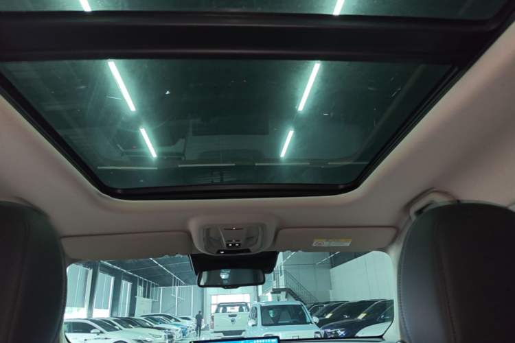 Used Haval H Dog 2023 2.0T Two-Wheel Drive Chaoye Version Plus Headliner