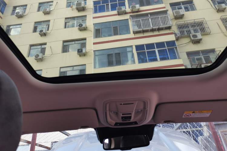 Used Haval H Dog 2023 2.0T All-Wheel-Drive Chaoye Plus Headliner