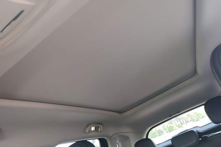 Used Haval H Dog 2023 2.0T All-Wheel-Drive Chaoye Plus Headliner