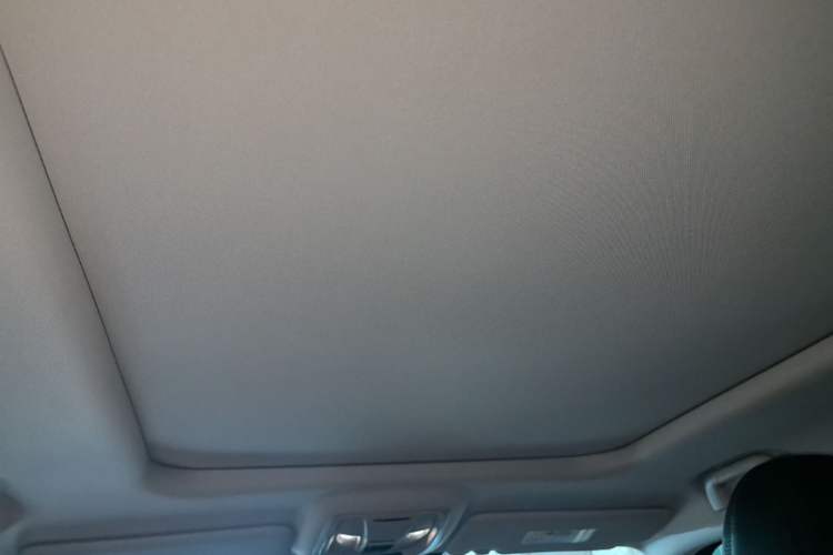 Used Haval H Dog 2023 2.0T All-Wheel-Drive Chaoye Plus Headliner