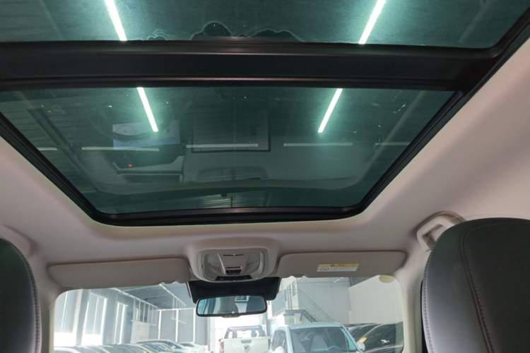 Used Haval H Dog 2023 2.0T Two-Wheel Drive Chaoye Version Plus Headliner