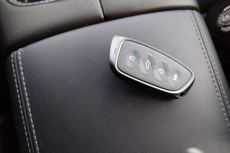 Used Haval H Dog 2023 2.0T Two-Wheel Drive Chaoye Version Plus Interior 1