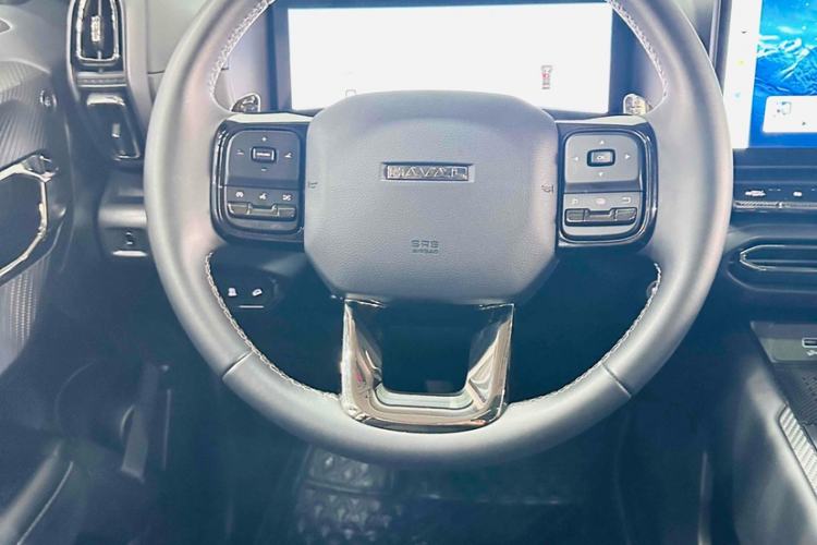 Used Haval H Dog 2023 2.0T Two-Wheel Drive Chaoye Version Plus Interior 3