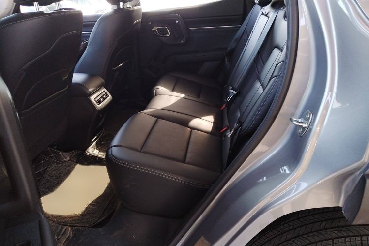 Used Haval H Dog 2023 2.0T Two-Wheel Drive Chaoye Version Plus Interior 4