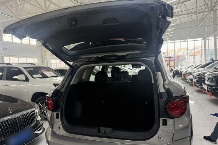 Used Haval H Dog 2023 2.0T Two-Wheel Drive Chaoye Version Plus Interior 7