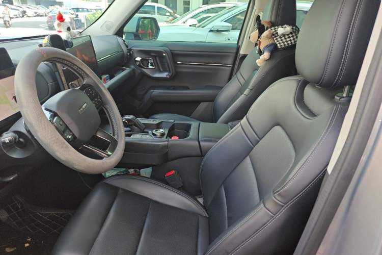 Used Haval H Dog 2023 2.0T Two-Wheel Drive Chaoye Version Plus Left Front Seat