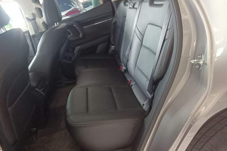 Used Haval H Dog 2023 1.5T Two-Wheel Drive Chao Ye Version Plus Left Rear Seat